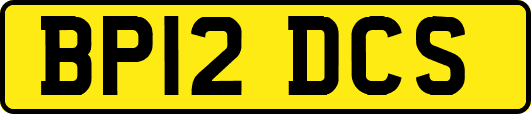 BP12DCS