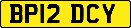 BP12DCY