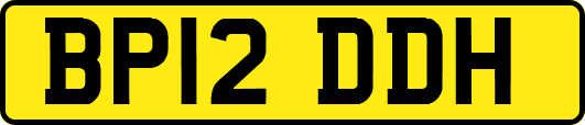 BP12DDH