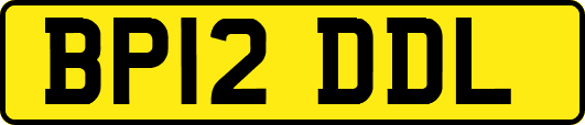 BP12DDL