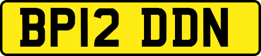BP12DDN