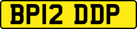 BP12DDP