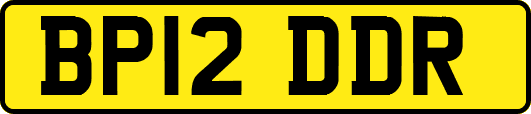 BP12DDR