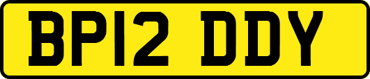 BP12DDY