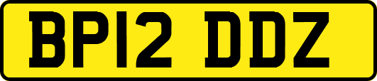 BP12DDZ