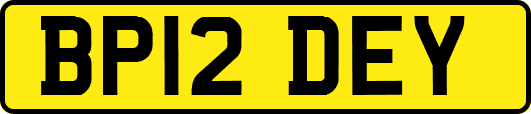 BP12DEY