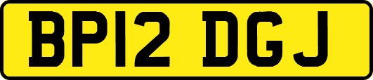 BP12DGJ