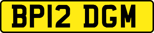 BP12DGM