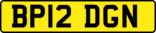BP12DGN