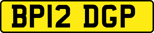 BP12DGP