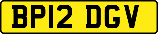 BP12DGV