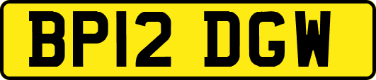 BP12DGW