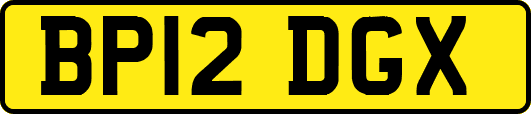 BP12DGX