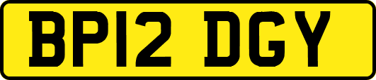 BP12DGY