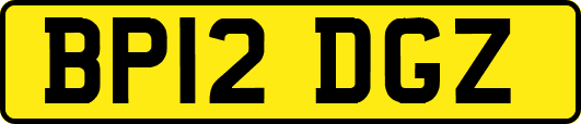 BP12DGZ