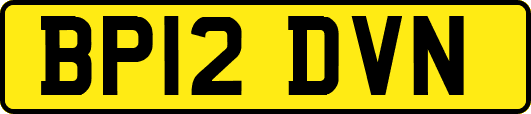 BP12DVN