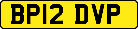 BP12DVP