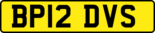 BP12DVS