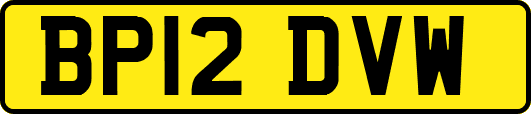 BP12DVW
