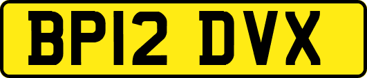 BP12DVX