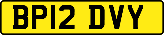 BP12DVY