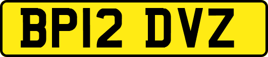 BP12DVZ
