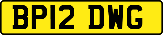 BP12DWG