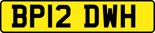 BP12DWH