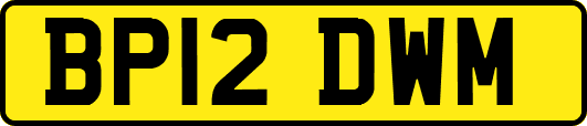 BP12DWM