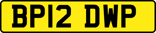 BP12DWP