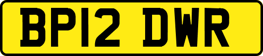 BP12DWR