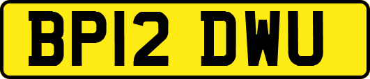 BP12DWU