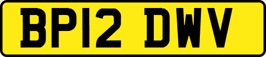 BP12DWV