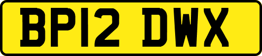 BP12DWX