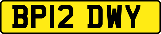 BP12DWY