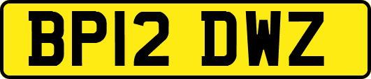 BP12DWZ