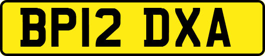 BP12DXA