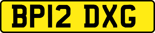 BP12DXG
