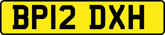 BP12DXH