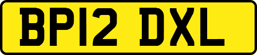 BP12DXL