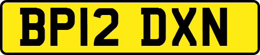 BP12DXN