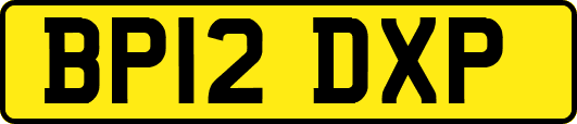 BP12DXP