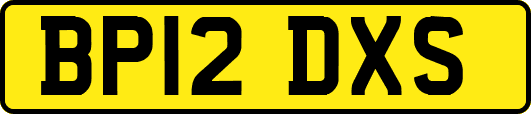 BP12DXS
