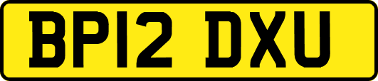 BP12DXU