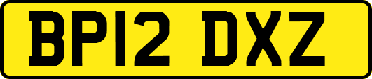 BP12DXZ