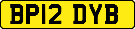 BP12DYB