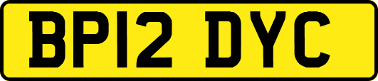BP12DYC