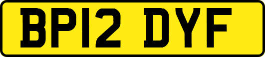 BP12DYF