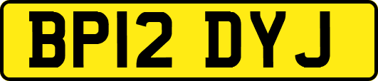 BP12DYJ