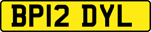 BP12DYL